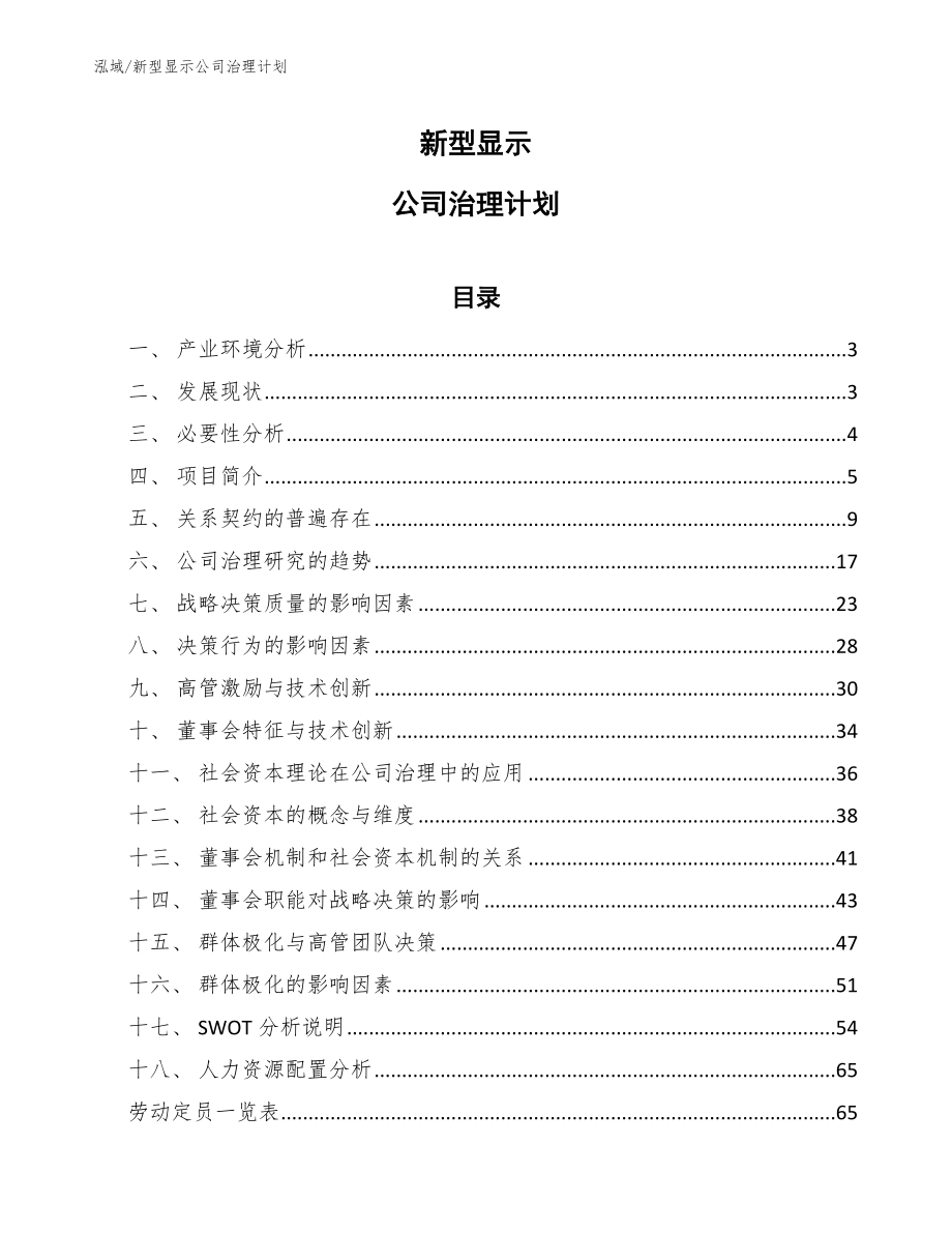 新型显示公司治理计划_第1页