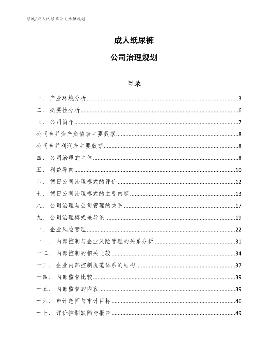 成人纸尿裤公司治理规划_第1页