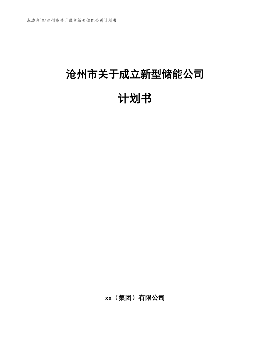 沧州市关于成立新型储能公司计划书_第1页
