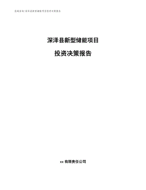 深泽县新型储能项目投资决策报告（模板范本）