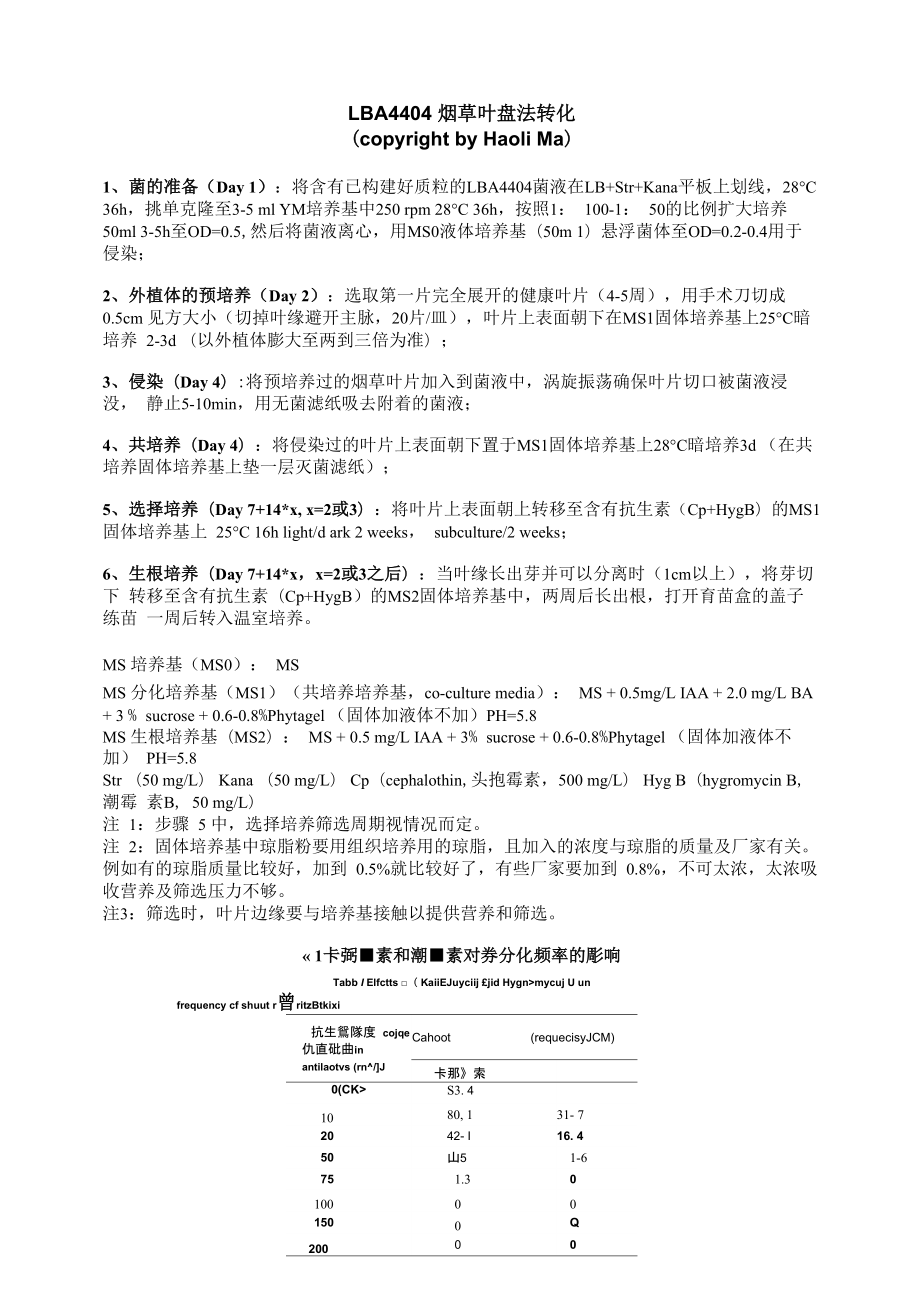 LBA4404烟草叶盘法转化_第1页