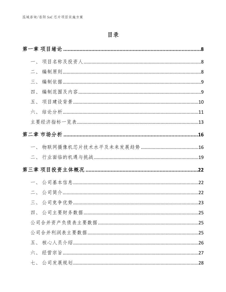 岳阳SoC芯片项目实施方案_模板参考_第1页