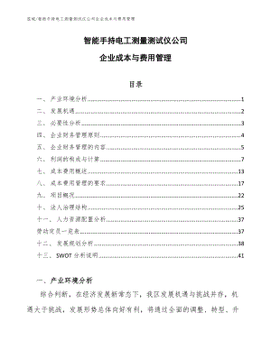 智能手持电工测量测试仪公司企业成本与费用管理【范文】