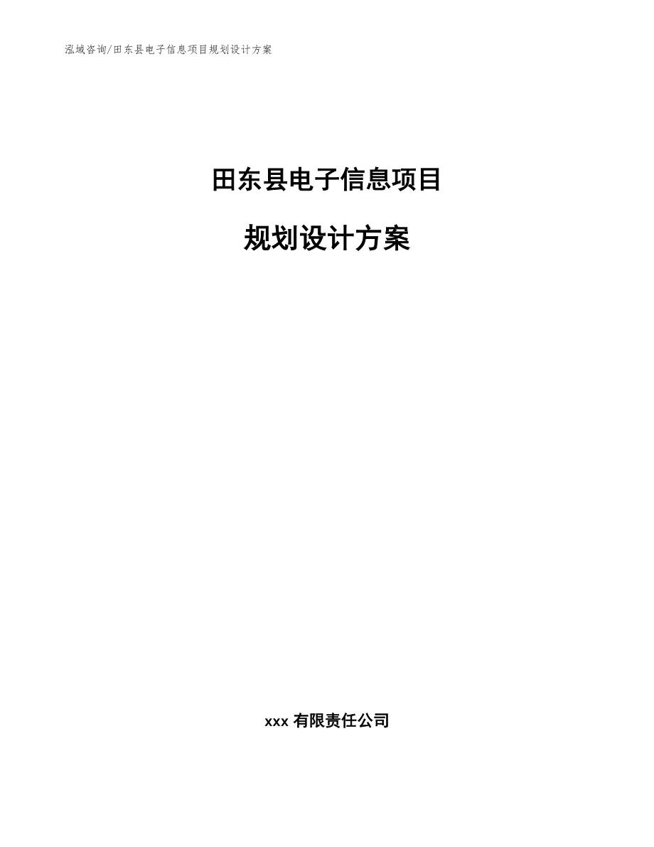 田东县电子信息项目规划设计方案_第1页