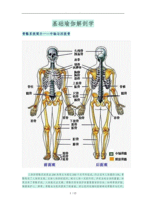 基础瑜伽解剖学