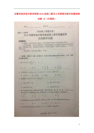 安徽省皖西高中教育联盟2019届高三数学上学期期末教学质量检测试题 文（扫描版）