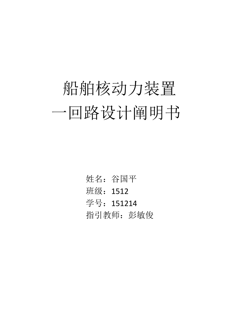 核动力设置一回路系统综合设计专项说明书_第1页