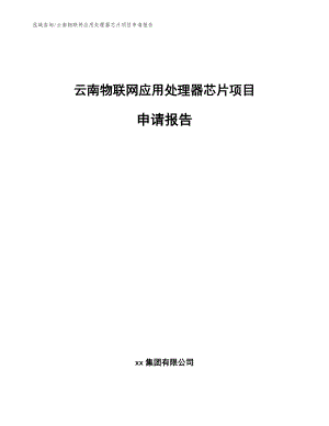 云南物联网应用处理器芯片项目申请报告【模板范文】