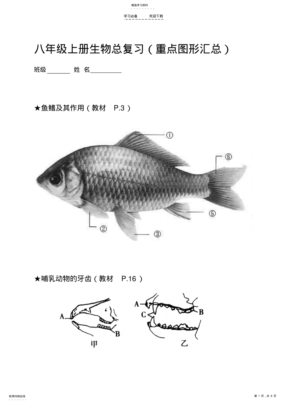 2022年八年級(jí)上冊(cè)生物總復(fù)習(xí) 2_第1頁(yè)