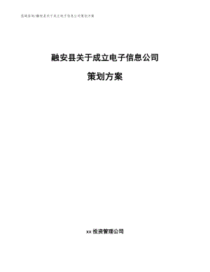 融安县关于成立电子信息公司策划方案【模板】