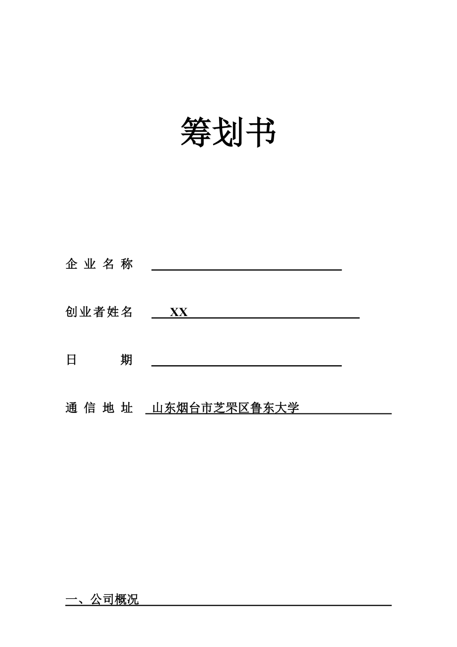 重點標準創業綜合計劃書模板空白