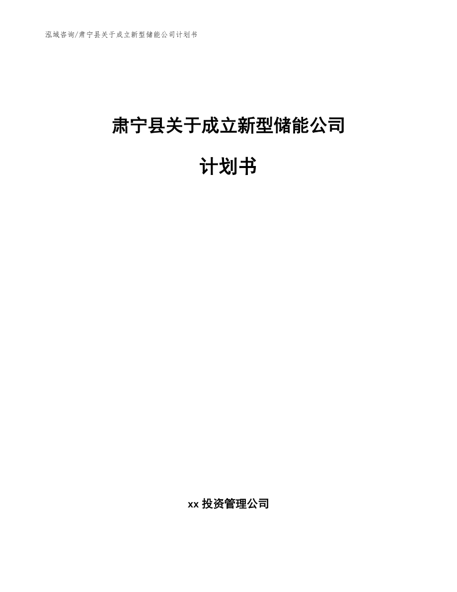 肃宁县关于成立新型储能公司计划书范文模板_第1页