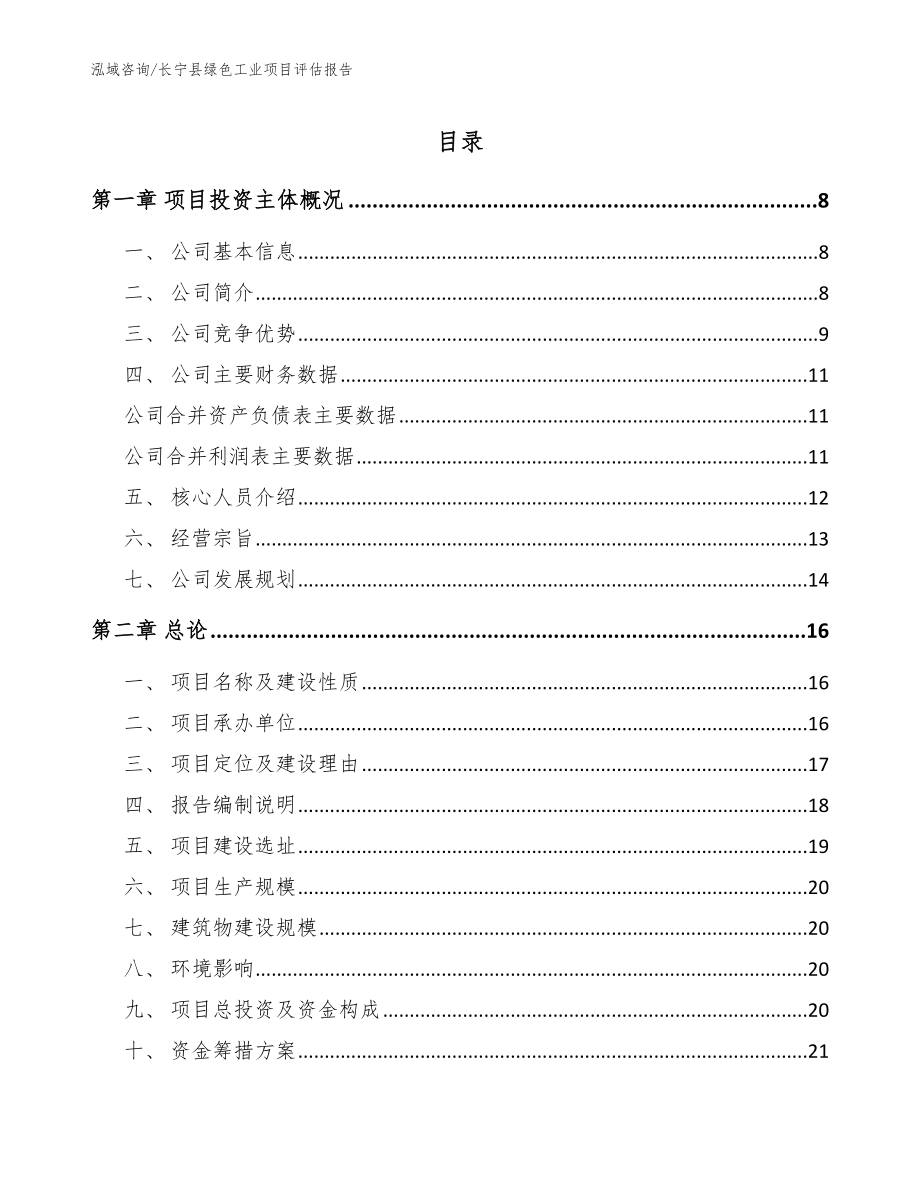 长宁县绿色工业项目评估报告模板范文_第1页