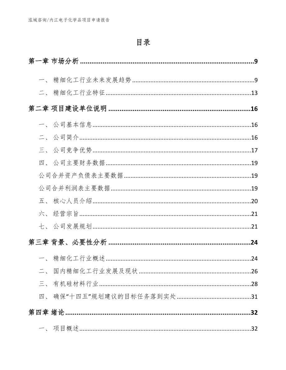 内江电子化学品项目申请报告_第1页