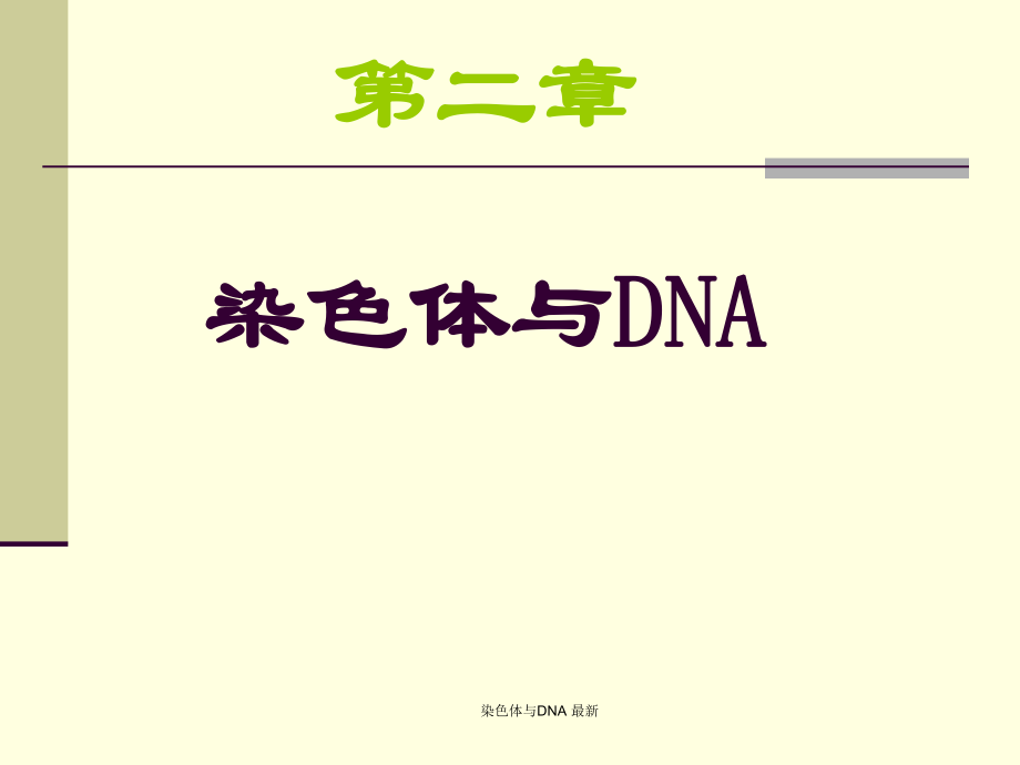 染色體與DNA 課件_第1頁