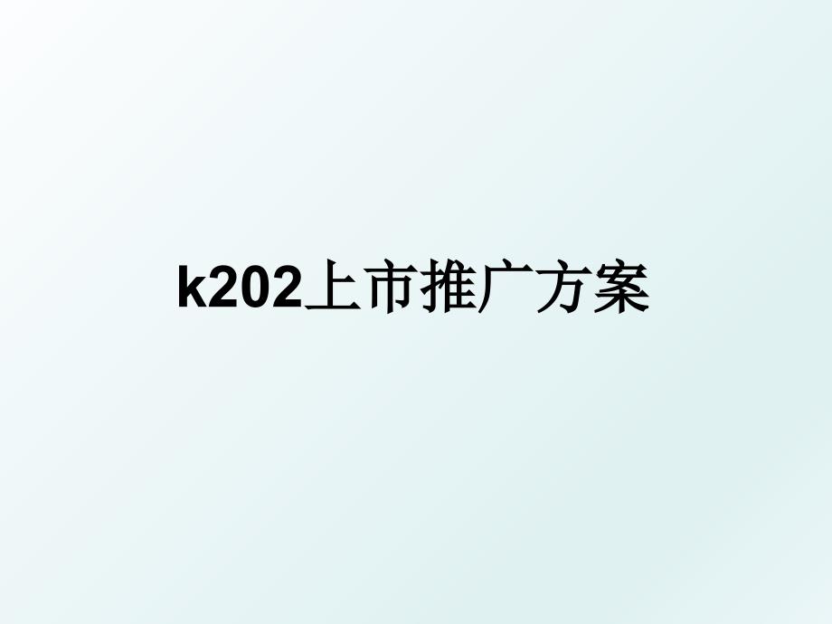 k202上市推广方案_第1页