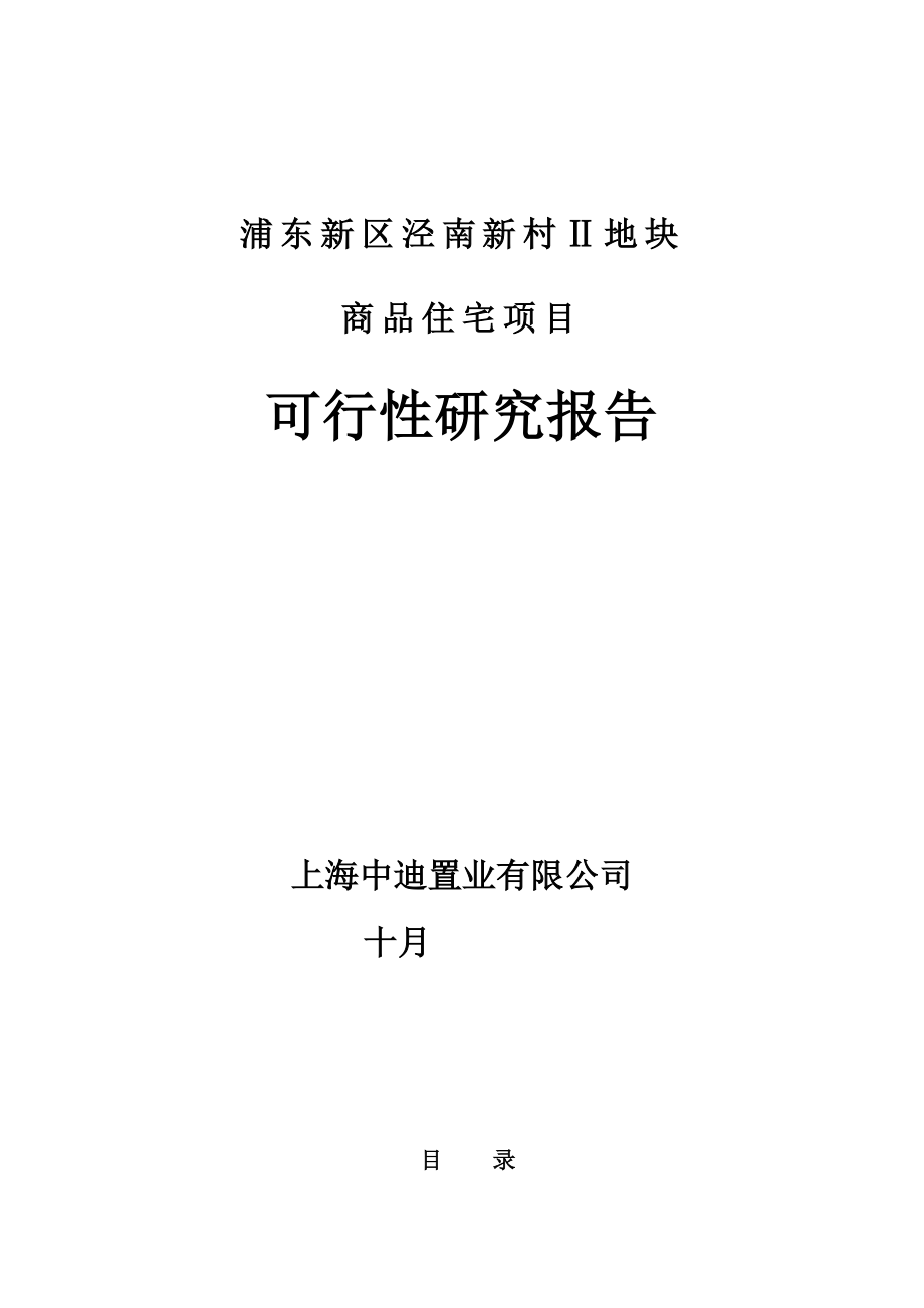 新区泾南新村地块可行性专题研究报告_第1页