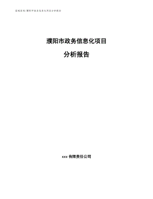 濮阳市政务信息化项目分析报告（范文）