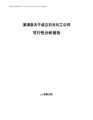 漳浦县关于成立石化化工公司可行性分析报告范文模板