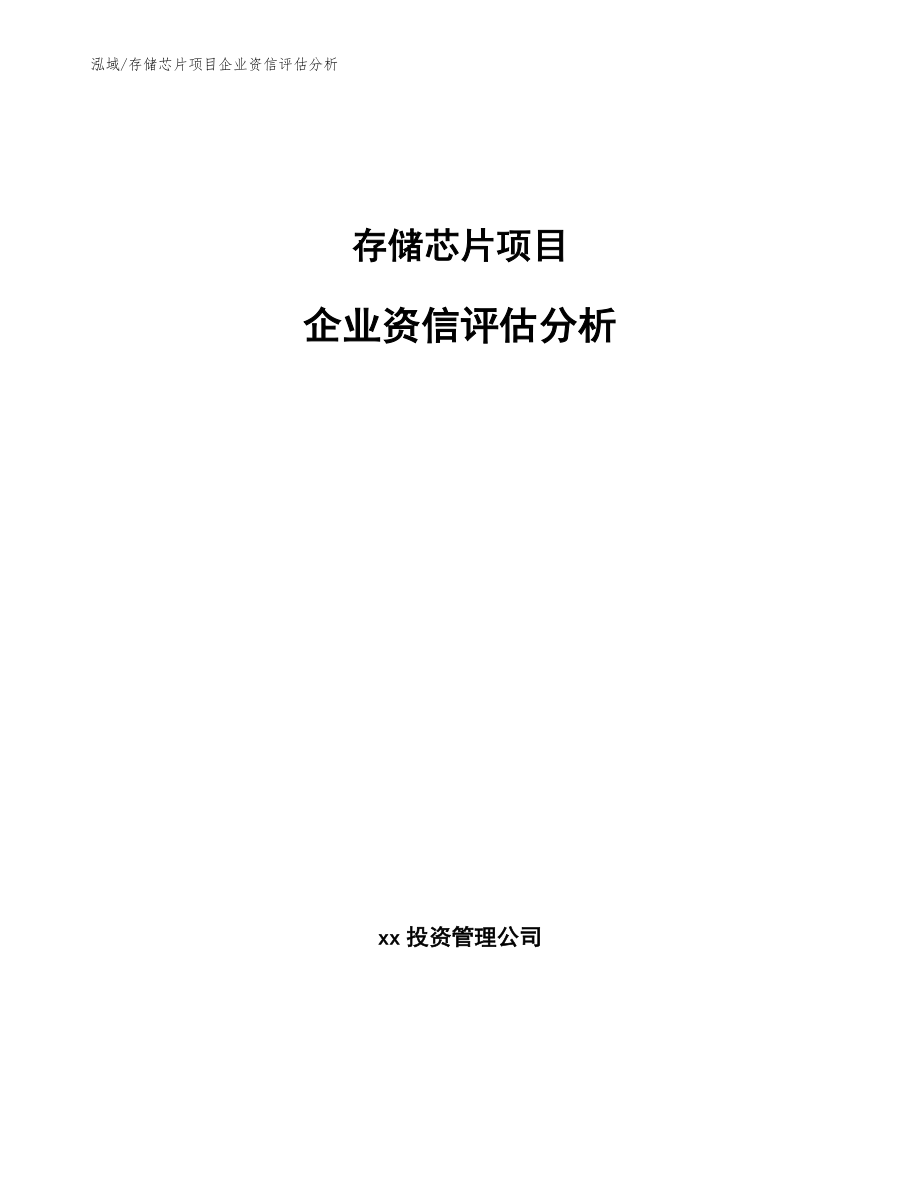 存储芯片项目企业资信评估分析_第1页