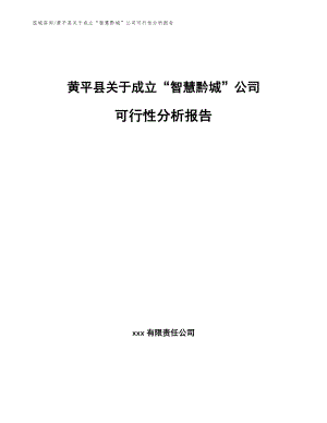 黄平县关于成立“智慧黔城”公司可行性分析报告模板参考