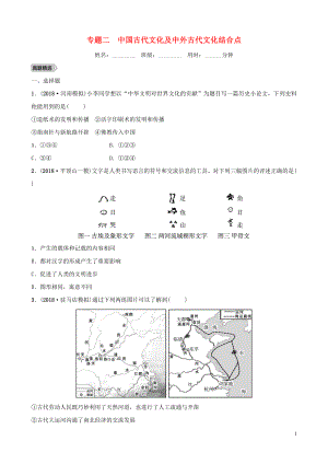 河南省2019年中考?xì)v史專題復(fù)習(xí) 專題二 中國古代文化及中外古代文化結(jié)合點(diǎn)練習(xí)