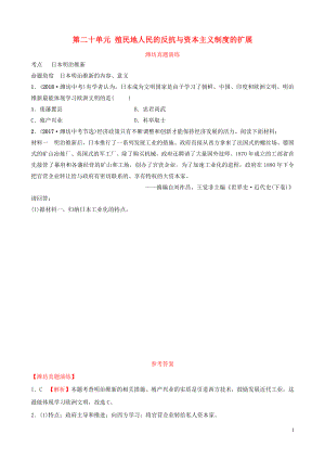 山東省濰坊市2019年中考歷史一輪復習 世界史 第二十單元 殖民地人民的反抗與資本主義制度的擴展真題演練