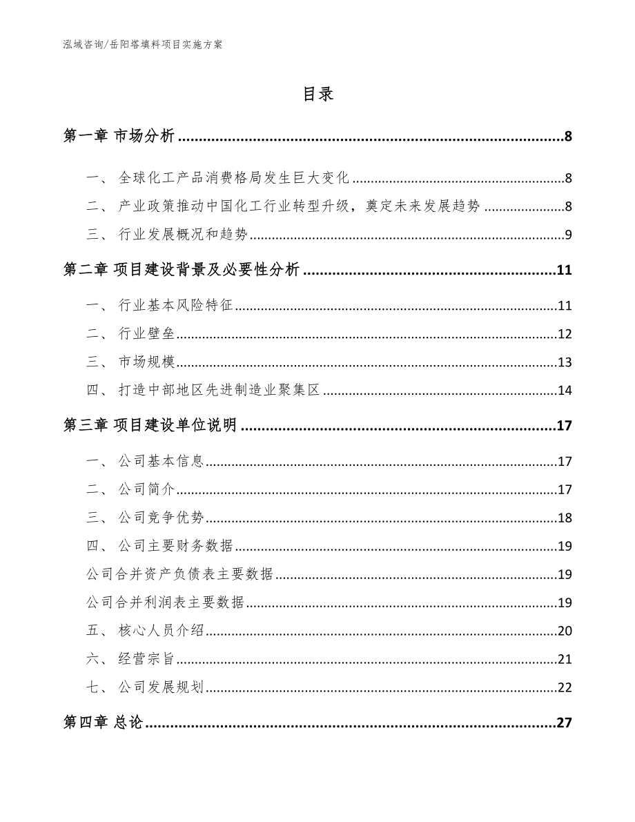 岳阳塔填料项目实施方案（范文参考）_第1页