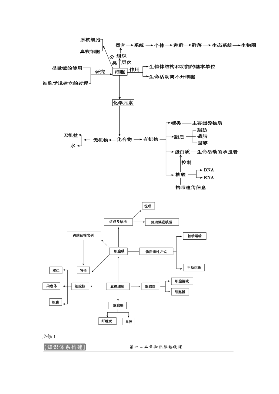 生物各章节知识框架结构(新课标)---总结得不错_第1页