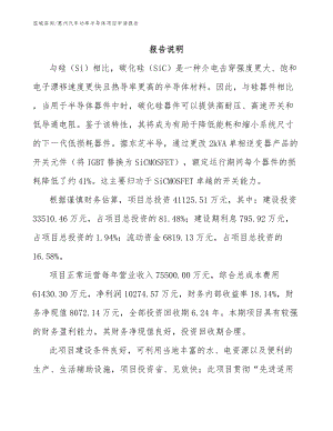 惠州汽车功率半导体项目申请报告_模板范文