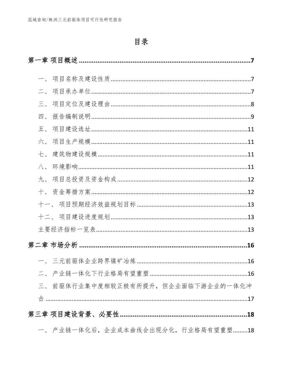 株洲三元前驱体项目可行性研究报告【范文模板】_第1页
