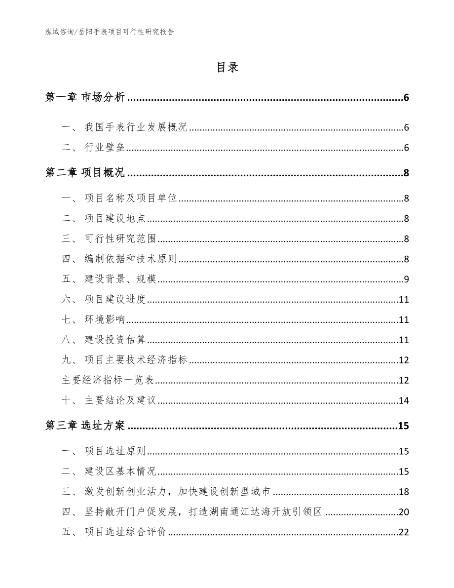 岳阳手表项目可行性研究报告_第1页
