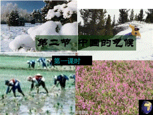 八年级地理上册第二节中国的气候第一课时课件湘教版
