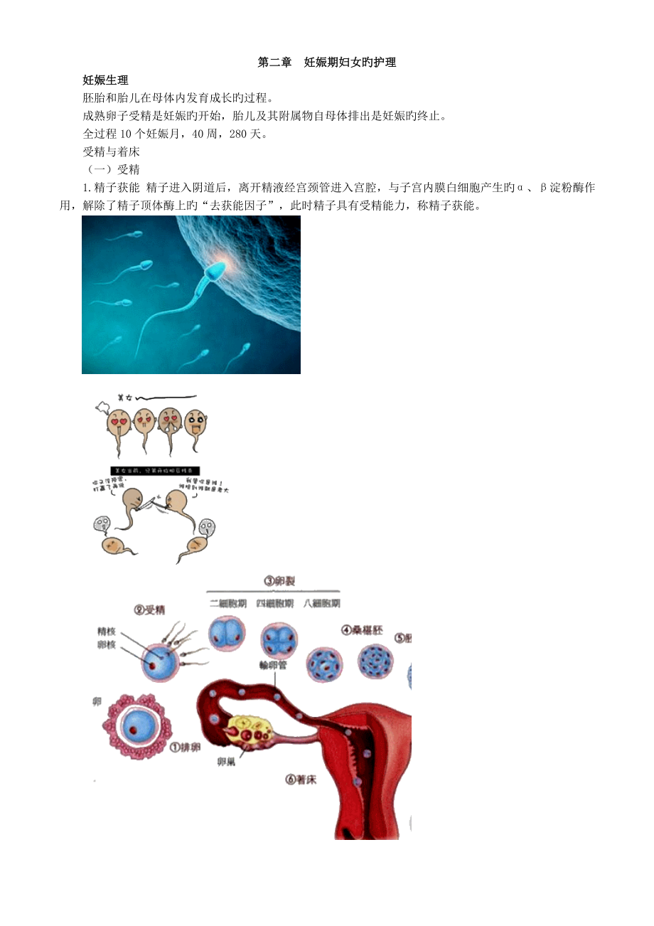 初级护师妇科护理讲义_第1页