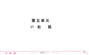 五年級(jí)上冊(cè)部編版語(yǔ)文習(xí)題課件第5單元 17　松　　鼠