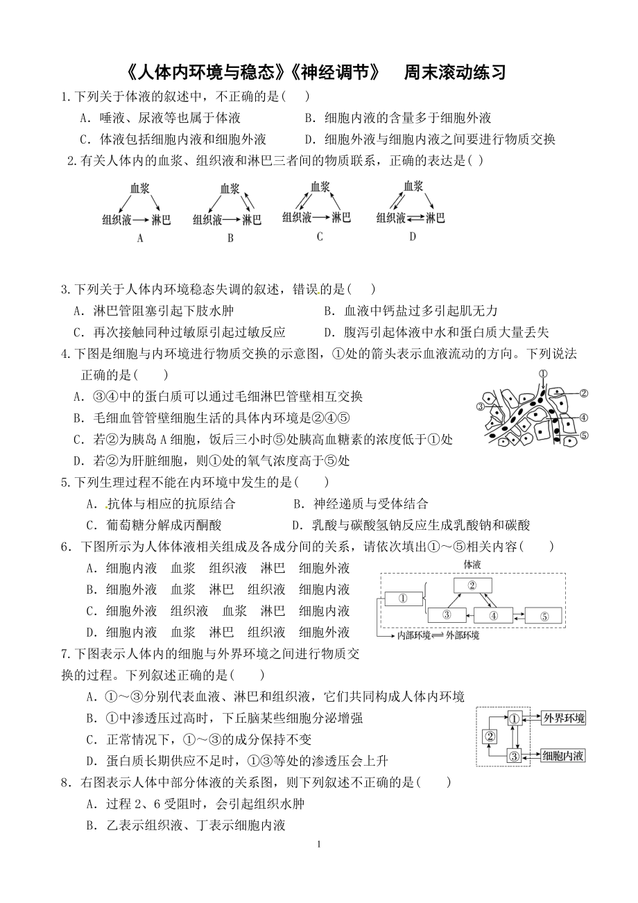 人體內(nèi)環(huán)境與穩(wěn)態(tài)神經(jīng)調(diào)節(jié)練習(xí)題_第1頁