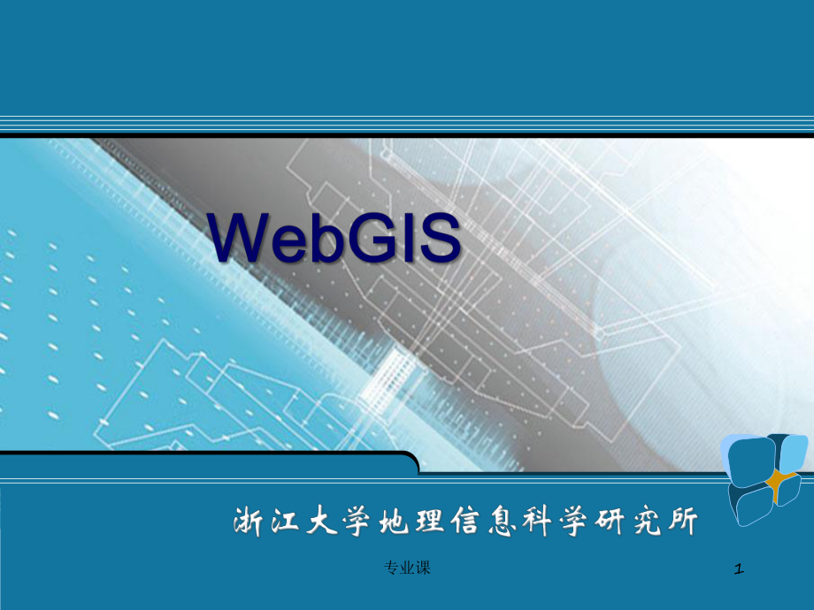 WebGIS技術(shù)【技術(shù)專攻】_第1頁