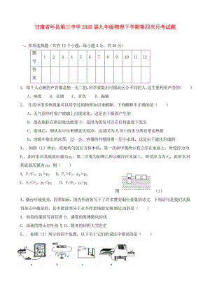 甘肃省环县第三中学九年级物理下学期第四次月考试题无答案