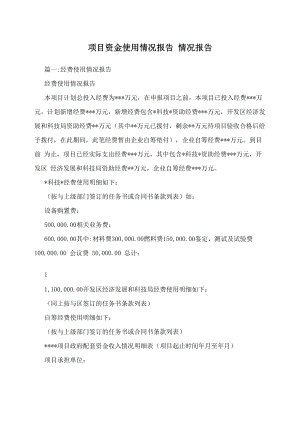 項目資金使用情況報告情況報告