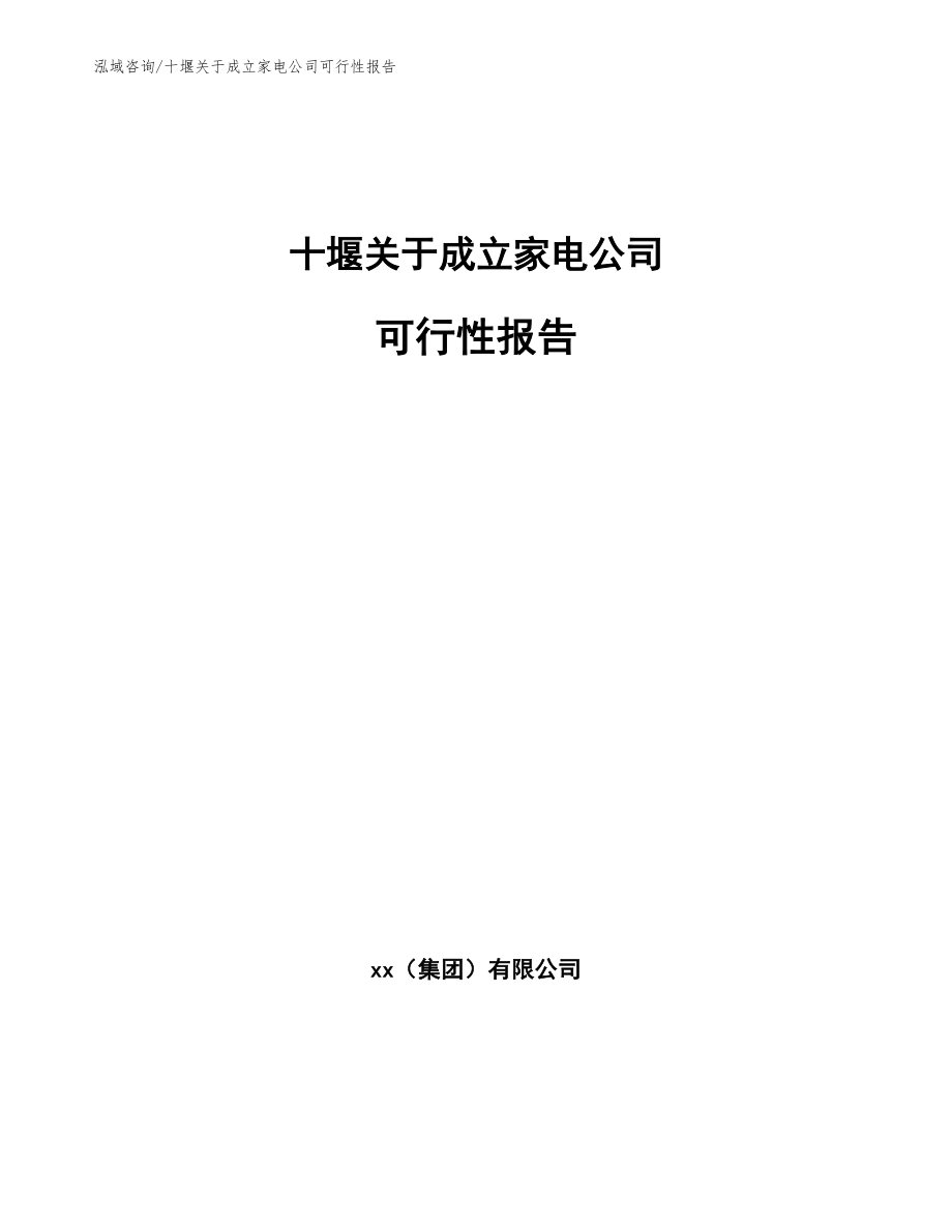 十堰关于成立家电公司可行性报告模板_第1页