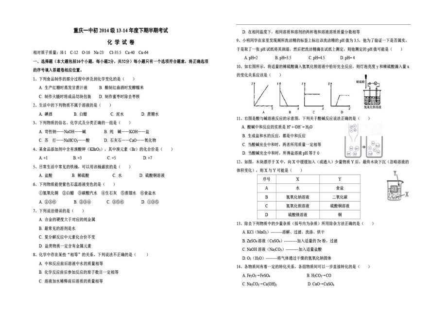 重庆市中考模拟_第1页