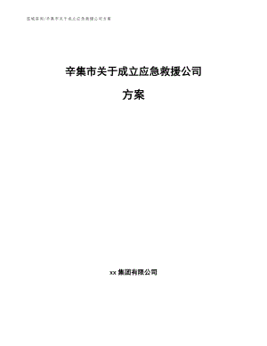 辛集市关于成立应急救援公司方案_范文参考