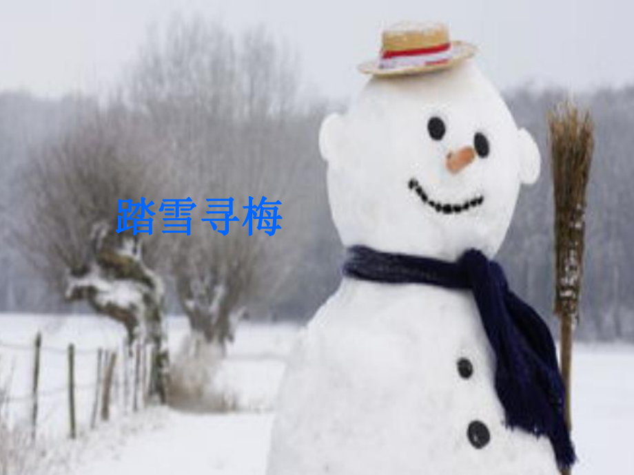 人教版音樂(lè)八年級(jí)上冊(cè)踏雪尋梅 課件 (3)_第1頁(yè)