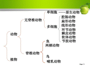 七上浙教版第五节常见的植物
