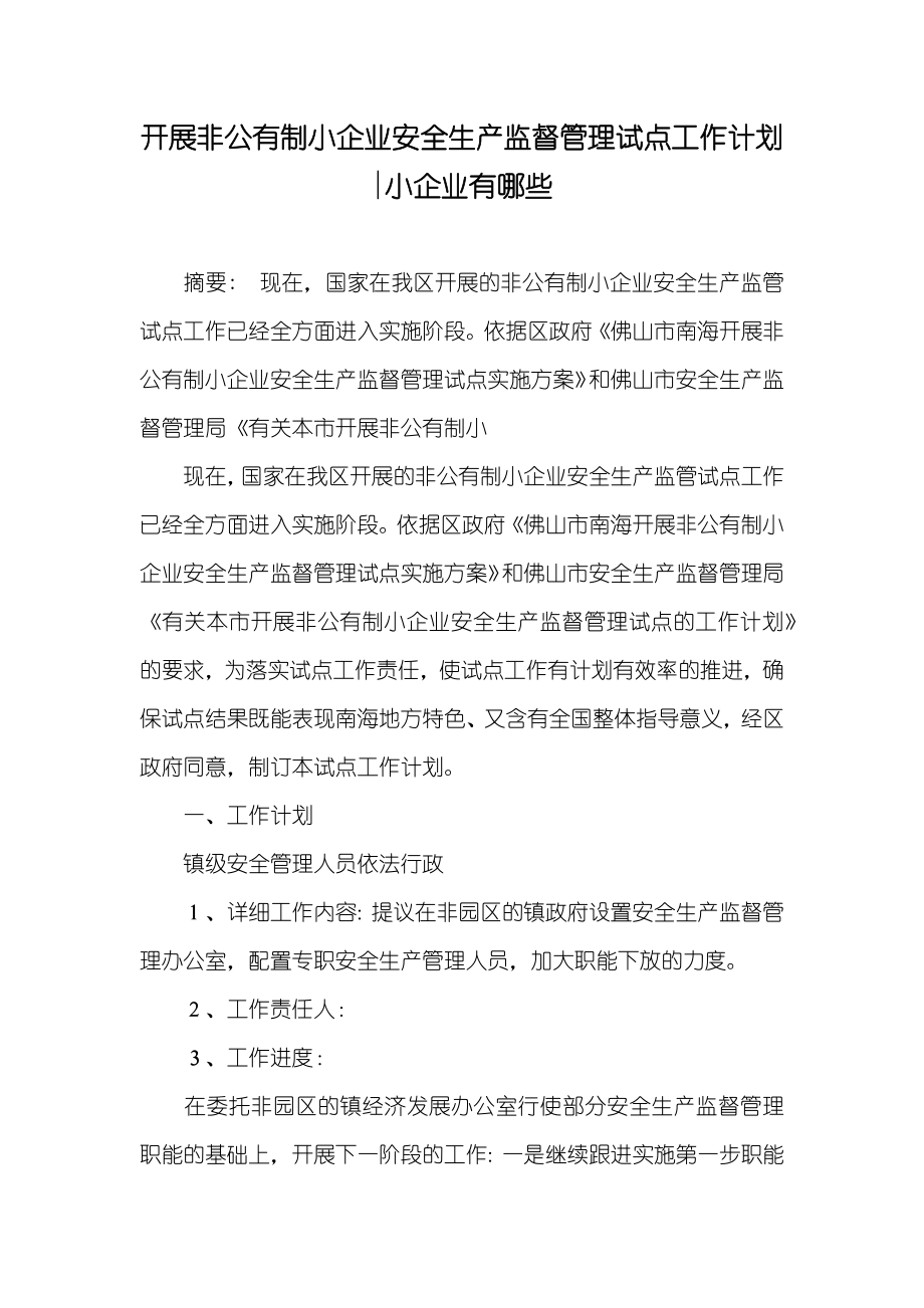 开展非公有制小企业安全生产监督管理试点工作计划-小企业有哪些_第1页