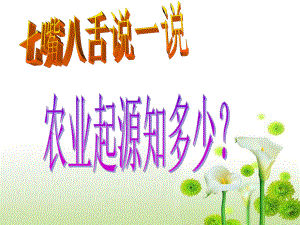 新人教版七年級歷史上冊　第2課 原始農(nóng)耕生活（26張ppt） （共26張ppt）課件