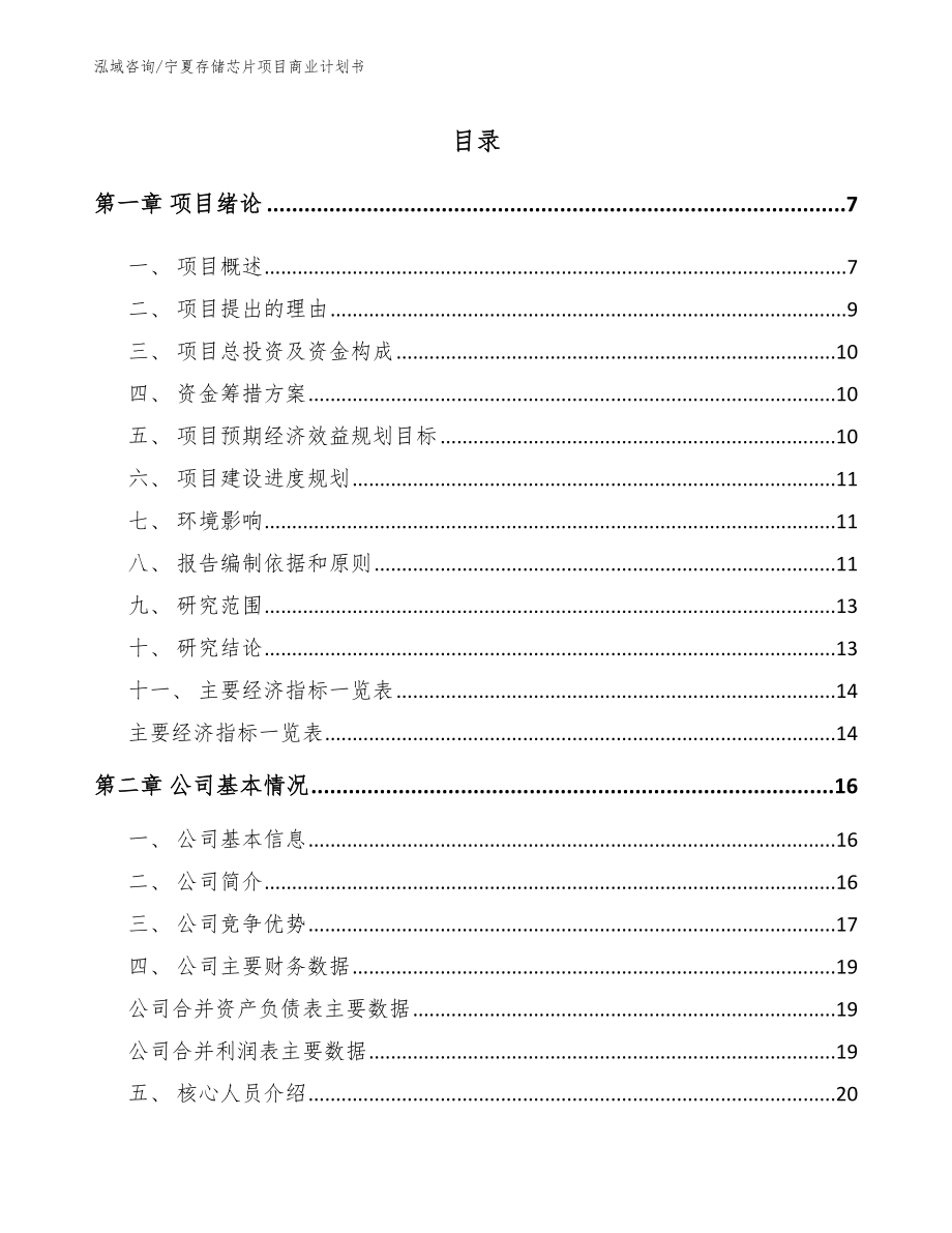 宁夏存储芯片项目商业计划书_第1页