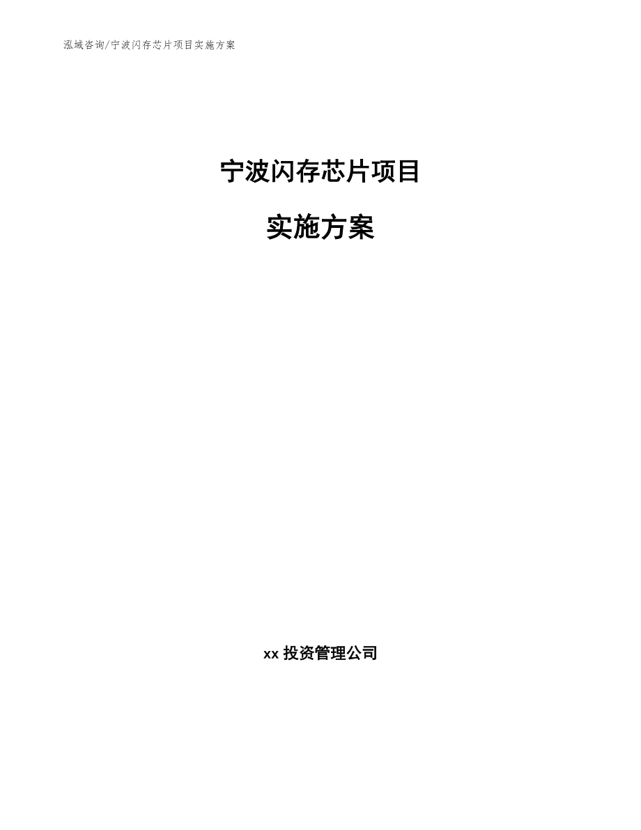 宁波闪存芯片项目实施方案_第1页