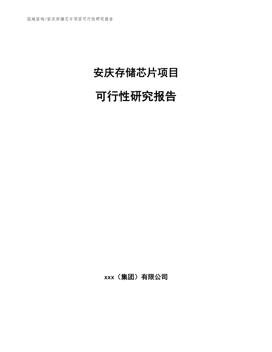 安庆存储芯片项目可行性研究报告【范文】_第1页