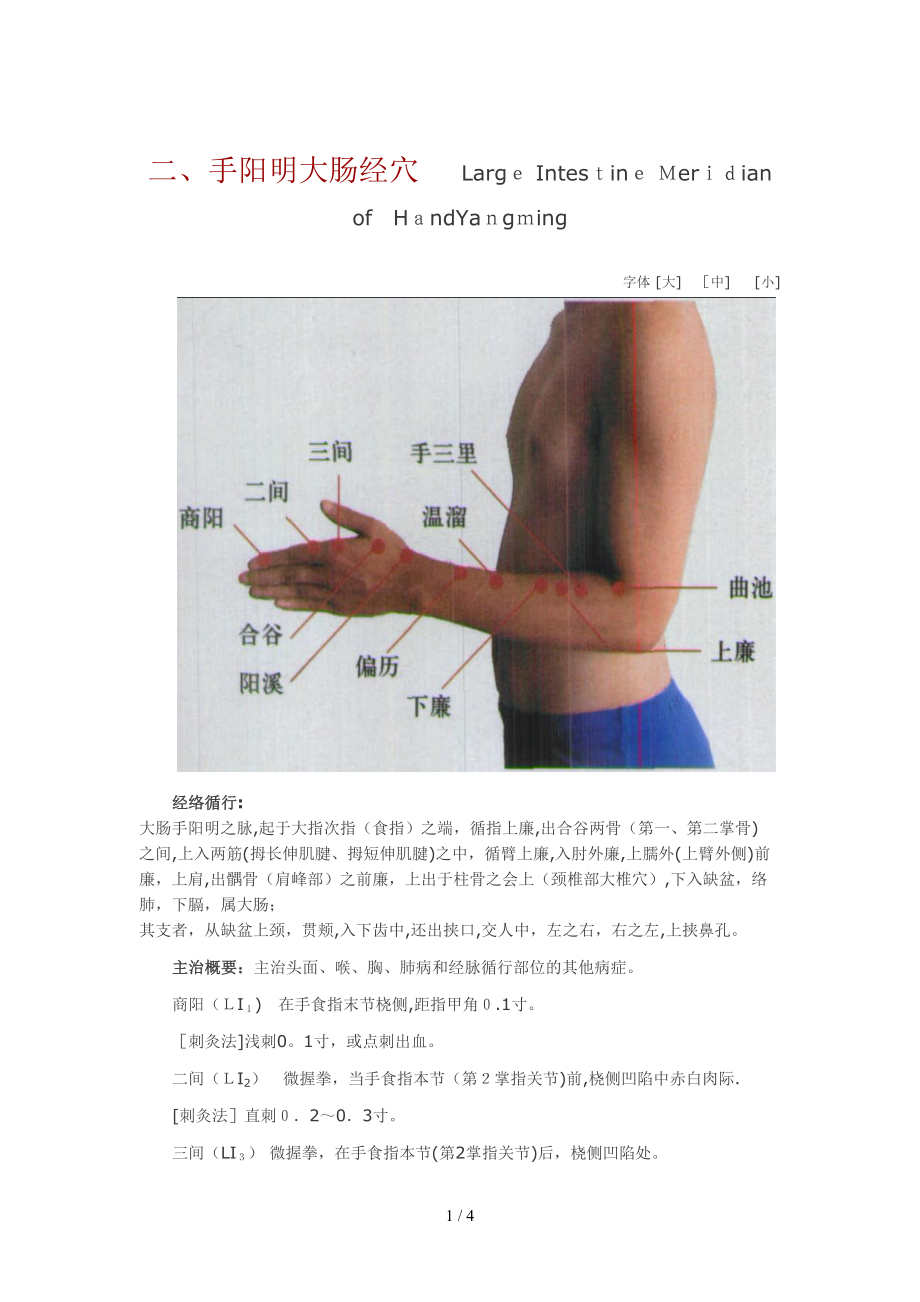 二、手陽明大腸經(jīng)穴_第1頁